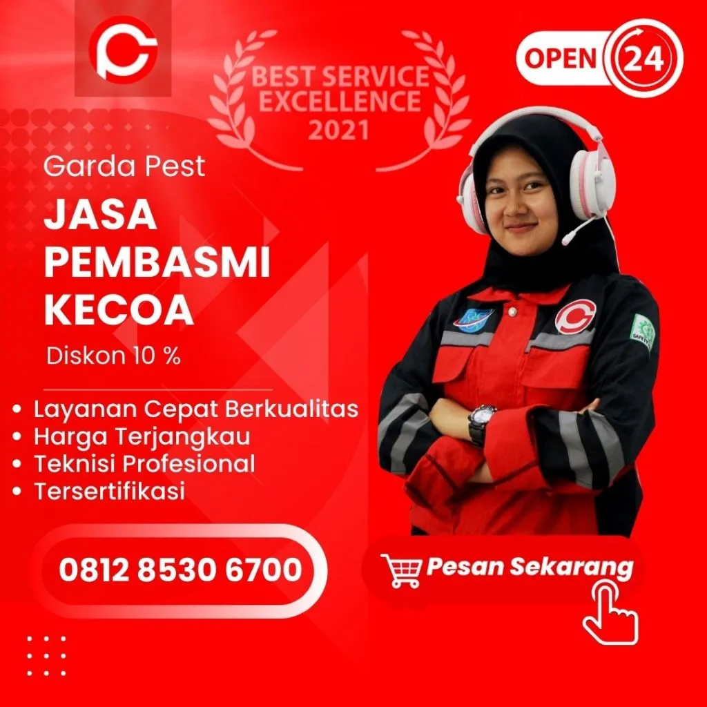 Jasa Pembasmi Kecoa di Ngempon Semarang