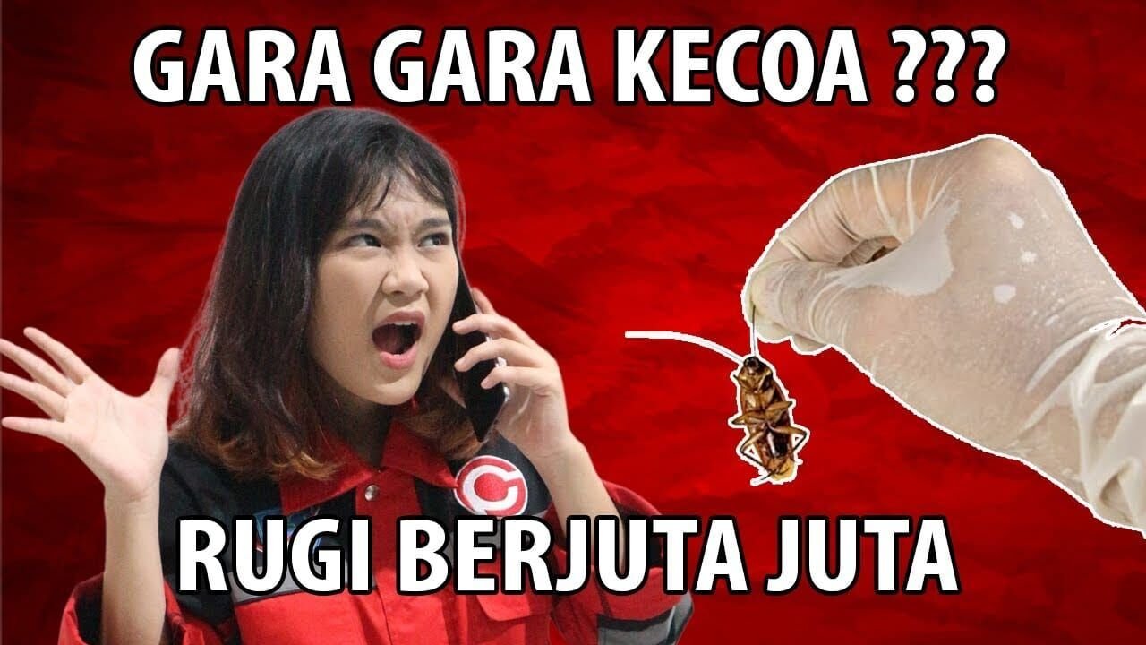 Jasa Pembasmi Kecoa Surabaya