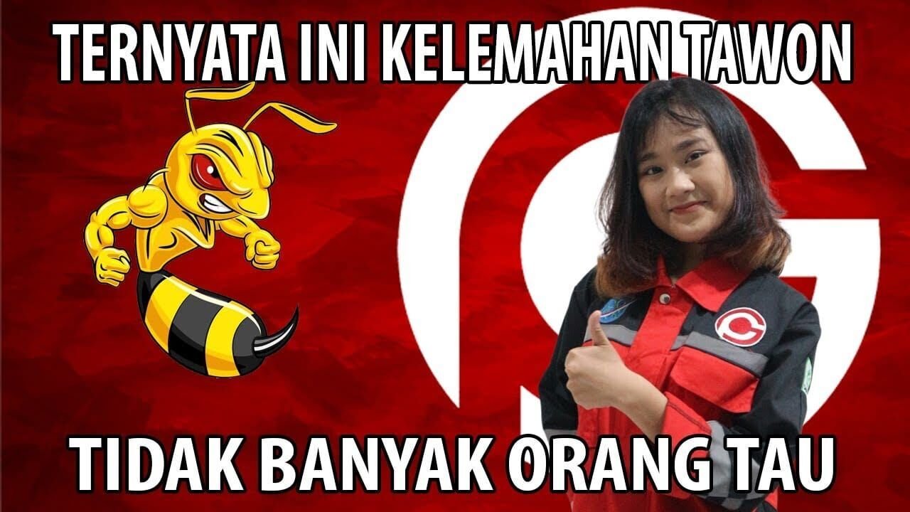 Jasa Pembasmi Sarang Tawon Semarang