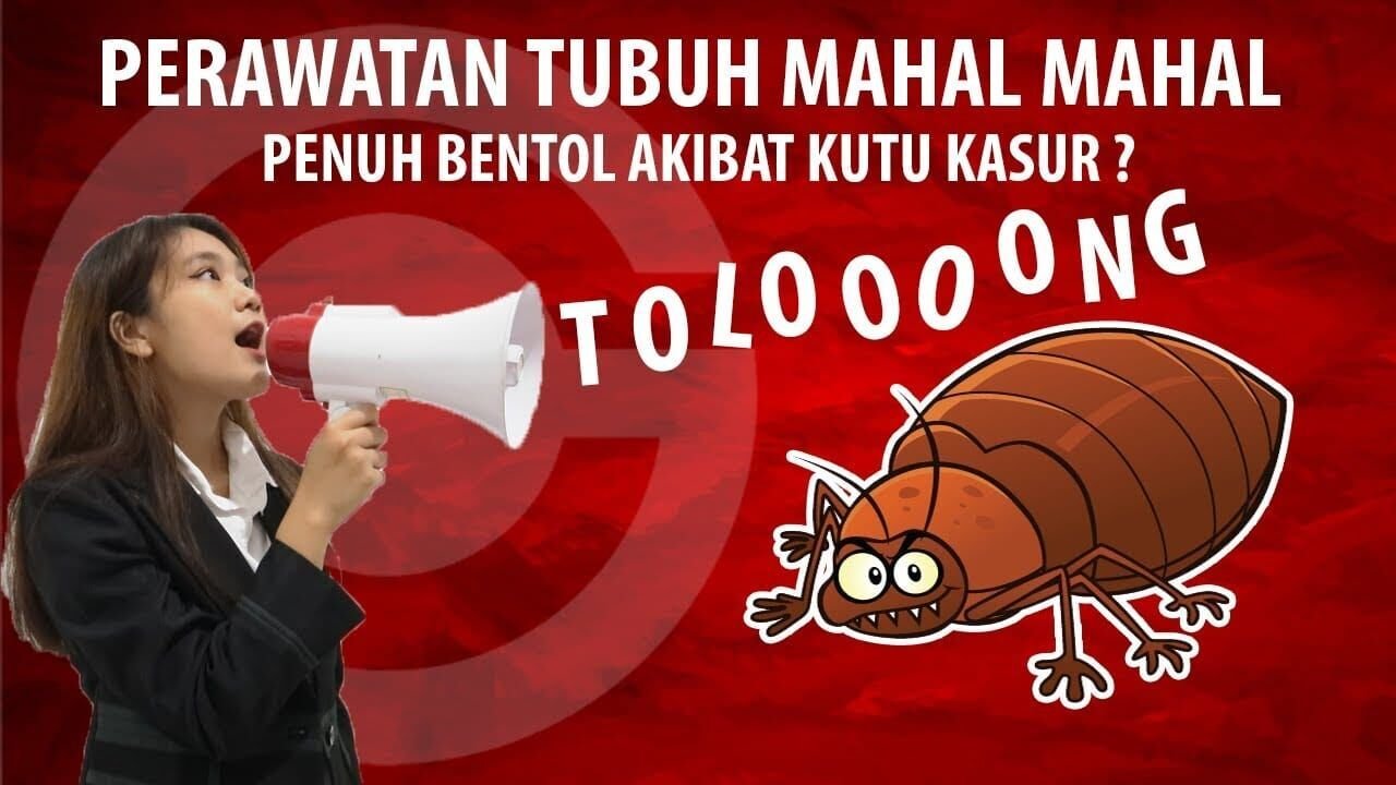 Pembasmi Kutu Kucing di Semarang