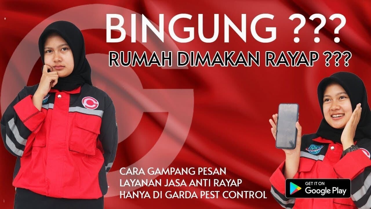 Jasa Anti Rayap Jakarta Utara Termurah