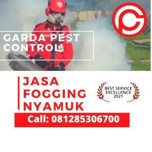 Harga Jasa Fogging Nyamuk di Tangsel