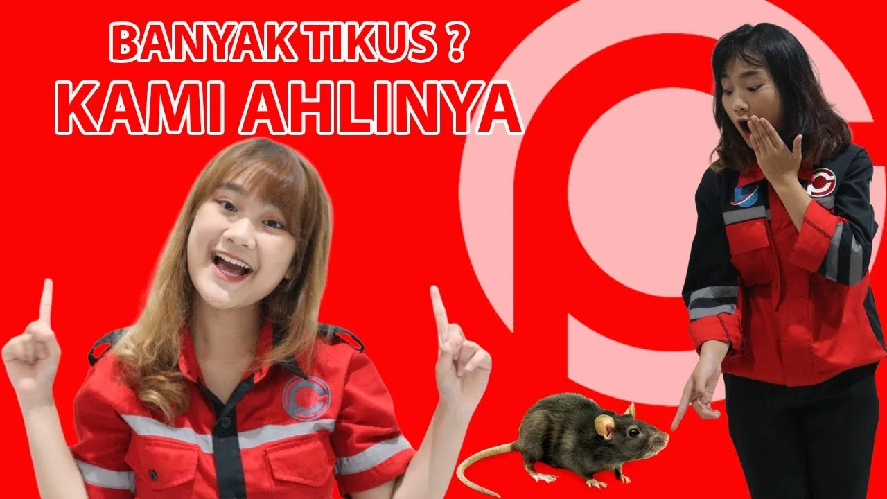 Jasa Pembasmi Tikus 24 Jam di Semarang