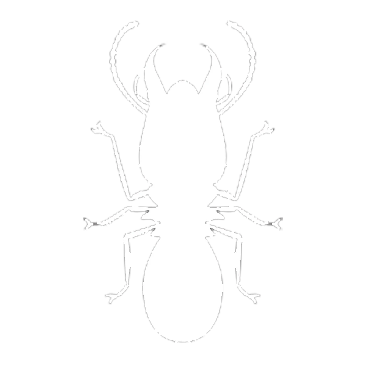 Jasa Pembasmi Rayap Profesional