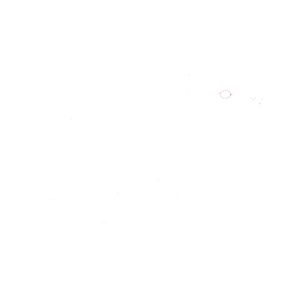 Jasa Pembasmi Tikus Profesional