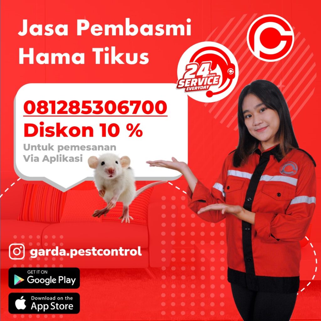 Jasa Basmi Tikus Denpasar