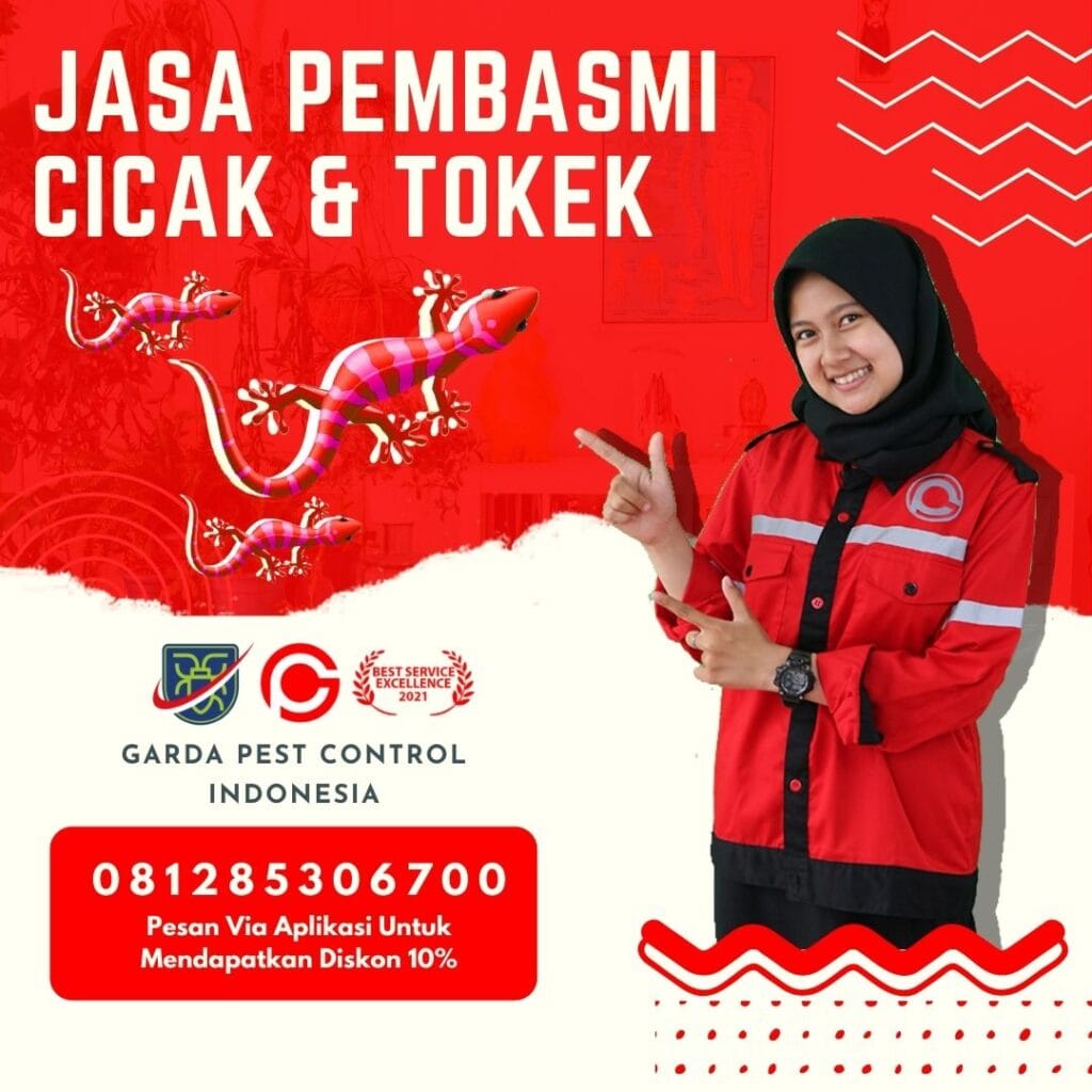 Jasa Pembasmi Tokek Kudus