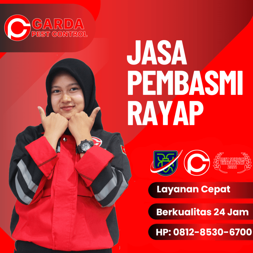 Jasa Basmi Rayap Bali Termurah