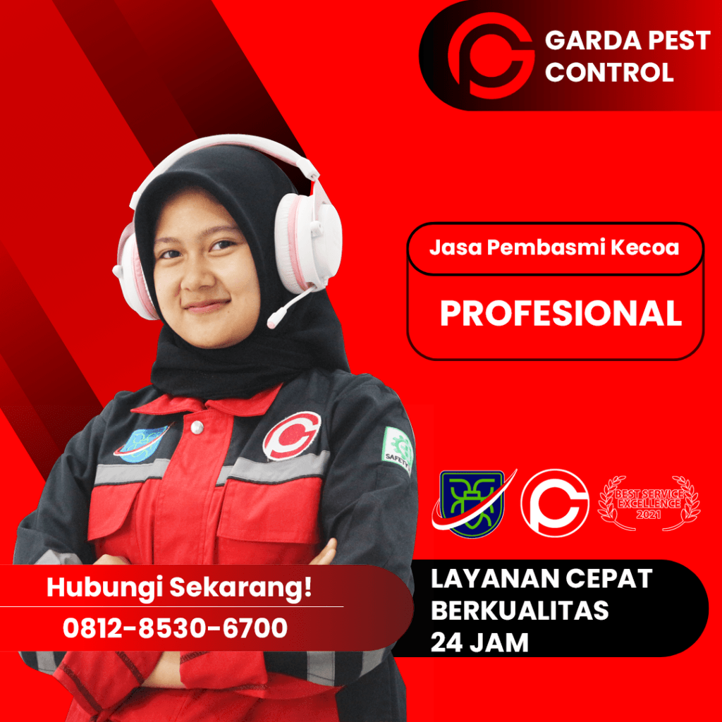 Jasa Pembasmi Kecoa Bali Termurah