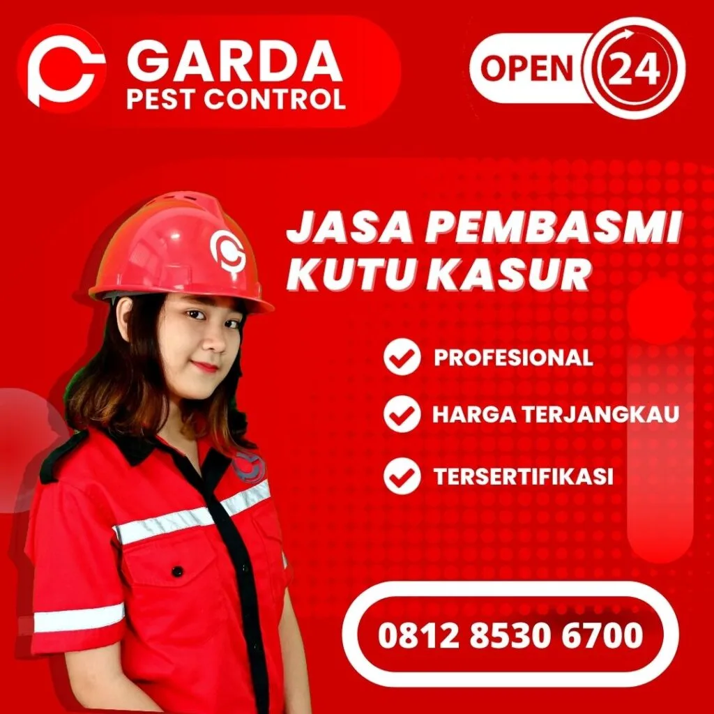 Jasa Pembasmi Kutu Kasur Jakarta