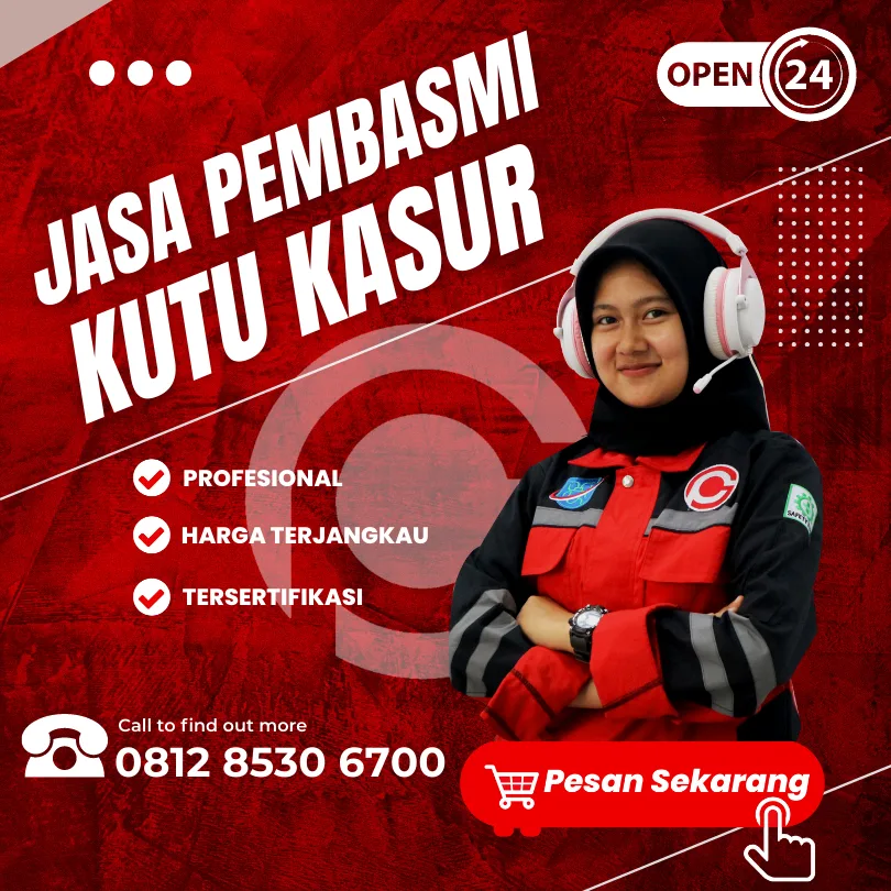 Jasa Pembasmi Kutu Kasur Jakarta
