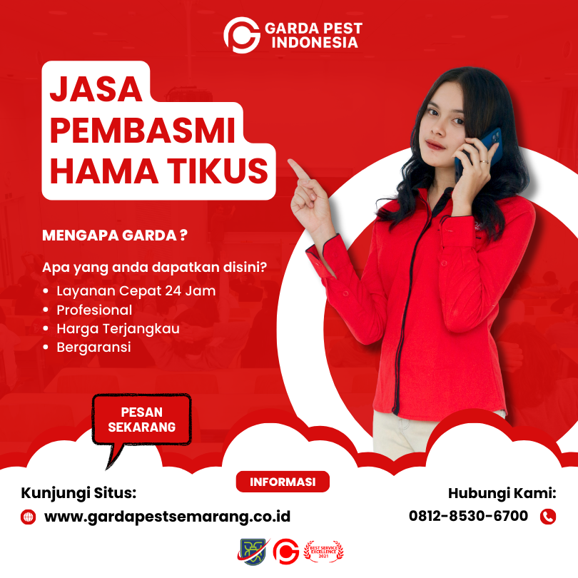 Jasa Basmi Tikus di Cukil Semarang