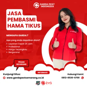 Jasa Pembasmi Tikus di Mijen Semarang