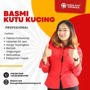 Jasa Basmi Kutu Kucing Semarang