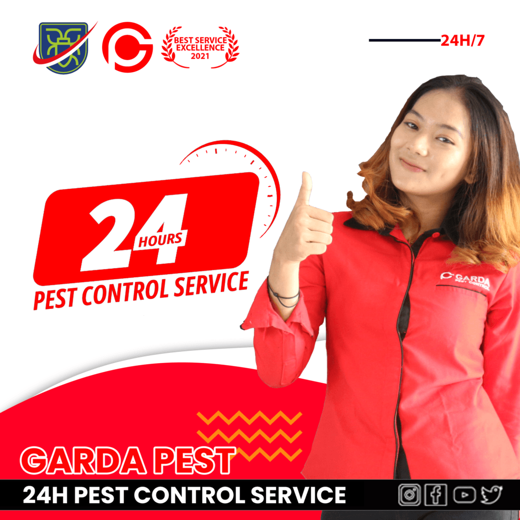Pest Control Indonesia