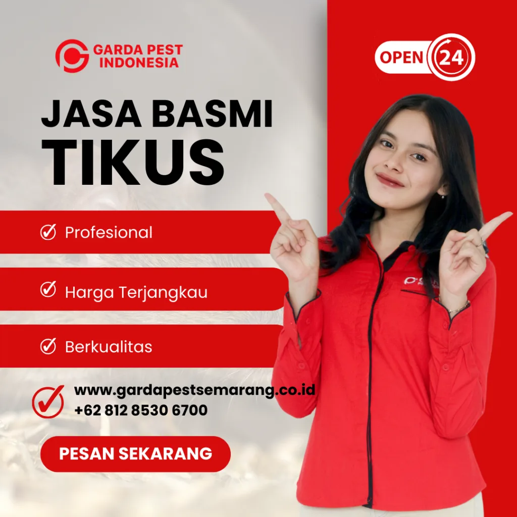 Jasa Pembasmi Tikus di Bandungan Semarang