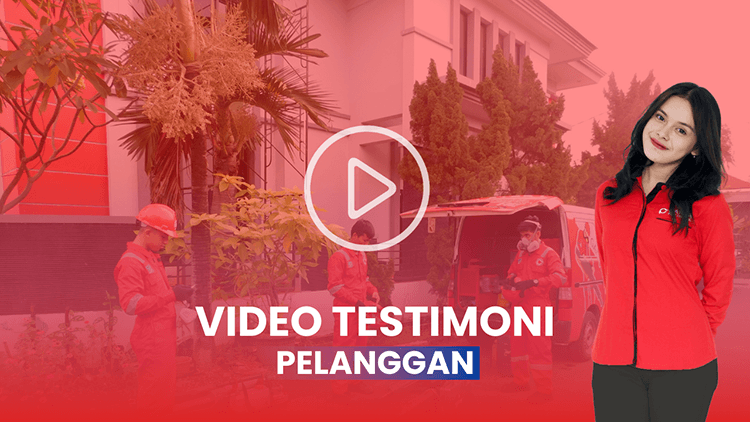 Jasa Pembasmi Kecoa Bandung