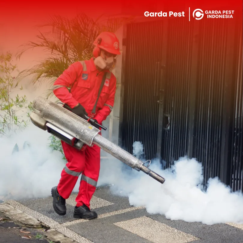 Jasa Fogging Nyamuk di Garut