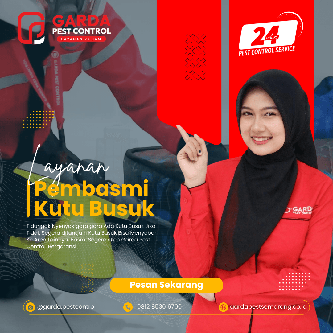 Jasa Pembasmi Kutu Busuk di Semarang No.1 Harga Termurah