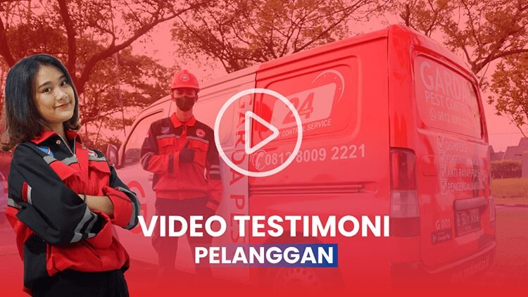 Jasa Pembasmi Kecoa di Restoran di Polobogo Semarang