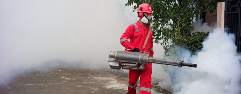 Biaya Fogging Nyamuk di Salaman