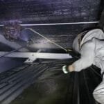 Jasa Pembasmi Tawon Terdekat