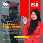 Jasa Anti Rayap Semarang Bergaransi Proses Cepat