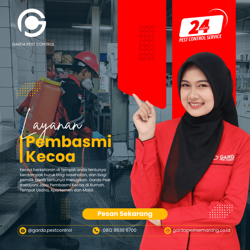 Jasa Pembasmi Kecoa di Gunungpati Semarang Terbaik