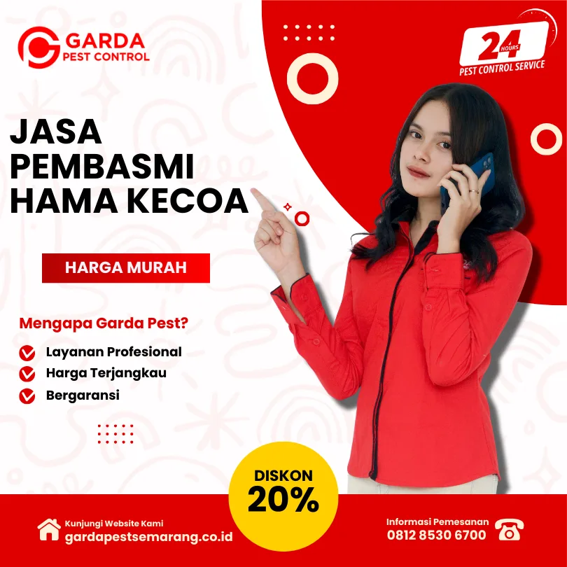 Jasa Pembasmi Kecoa di Semarang Selatan Harga Terjangkau