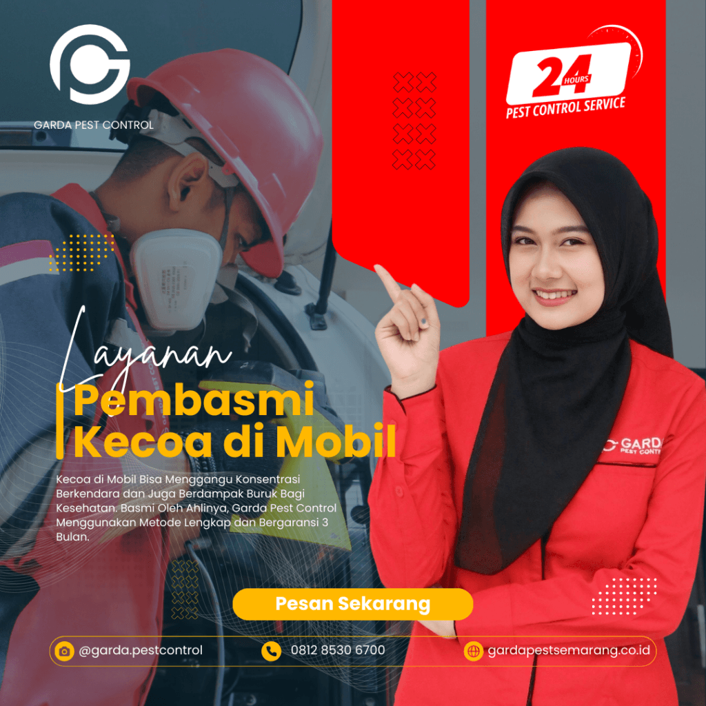 Jasa Pembasmi Kecoa di Mobil Jakarta Selatan