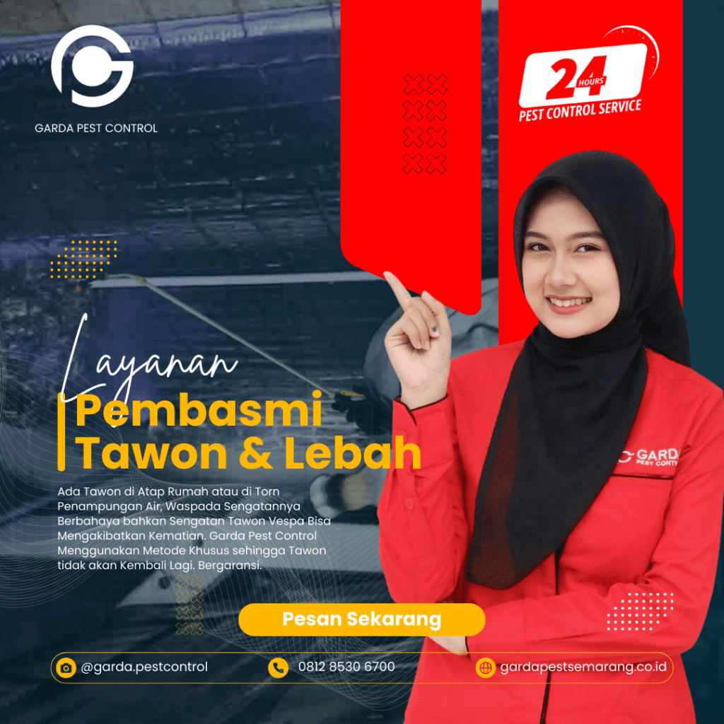 Jasa Pembasmi Sarang Tawon di Semarang Terbaik