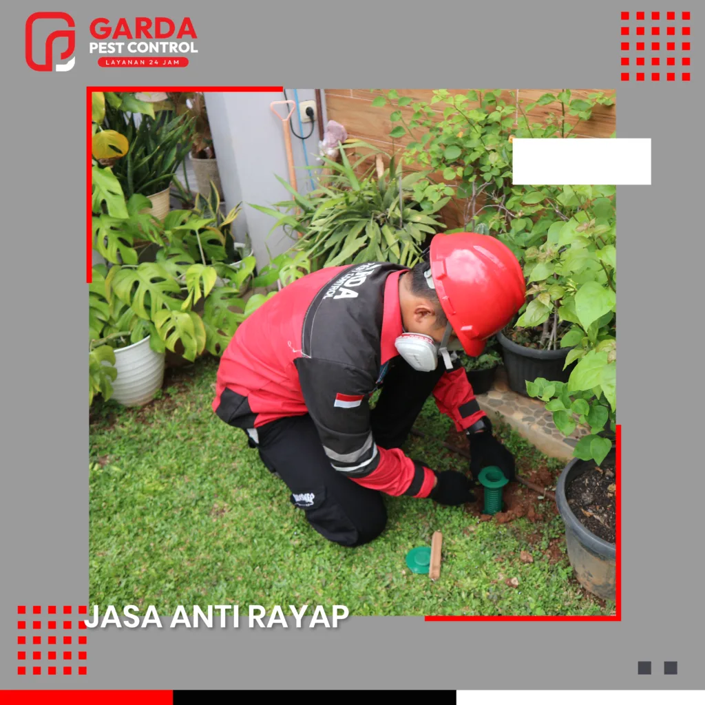 Jasa Anti Rayap