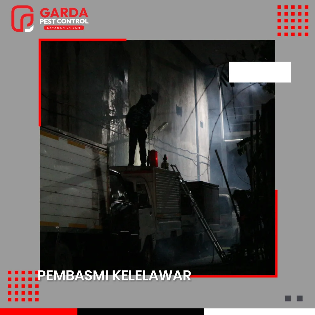 Jasa Pembasmi Kelelawar