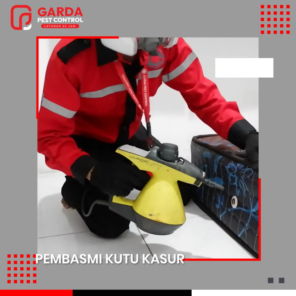 Jasa Pembasmi Kutu Kasur