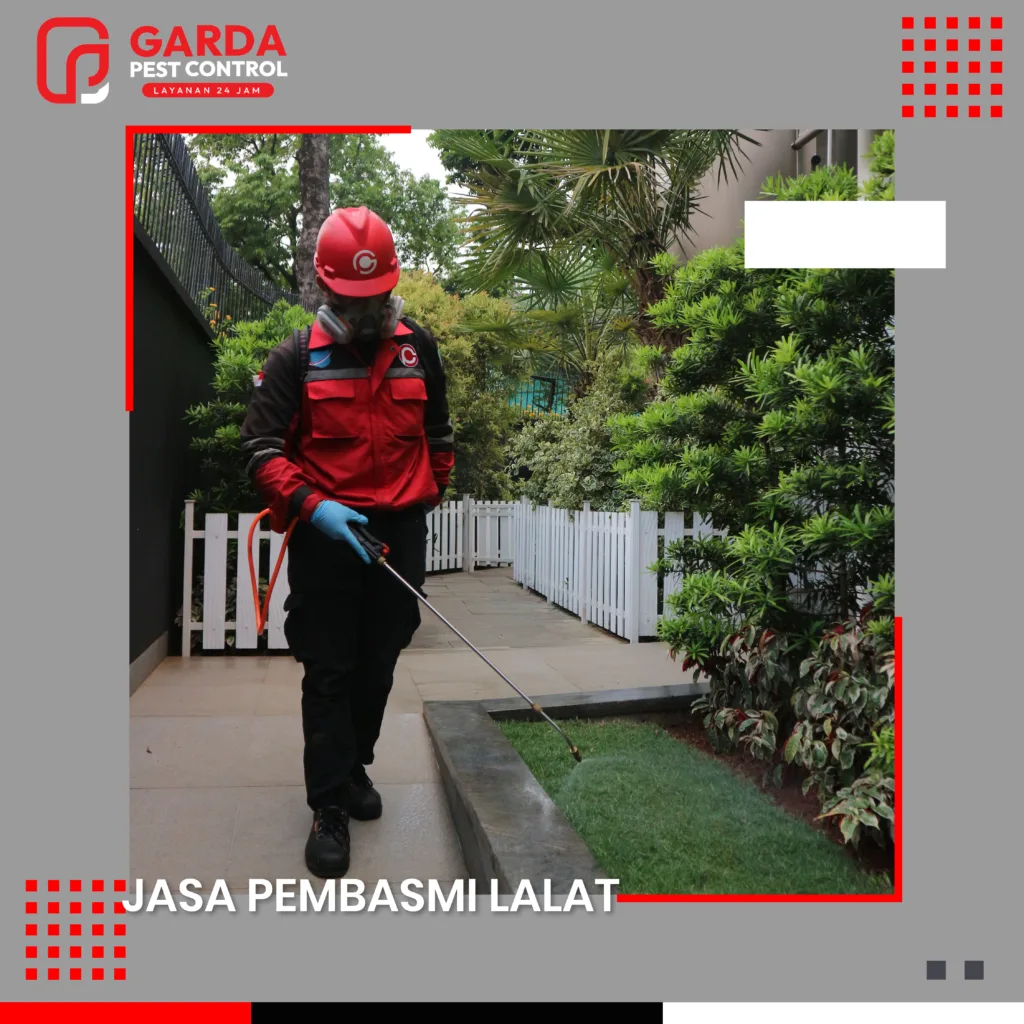 Jasa Pembasmi Lalat