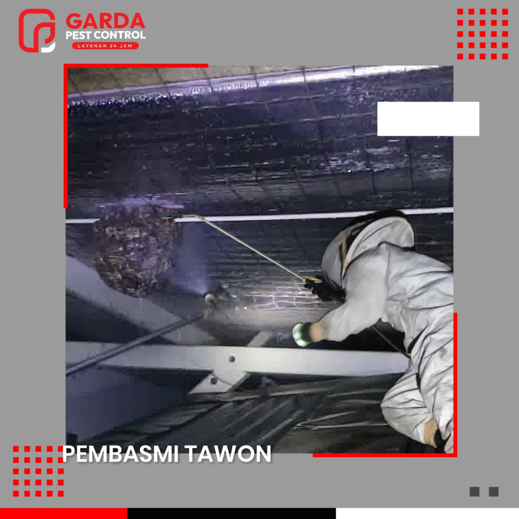 Jasa Pembasmi Tawon
