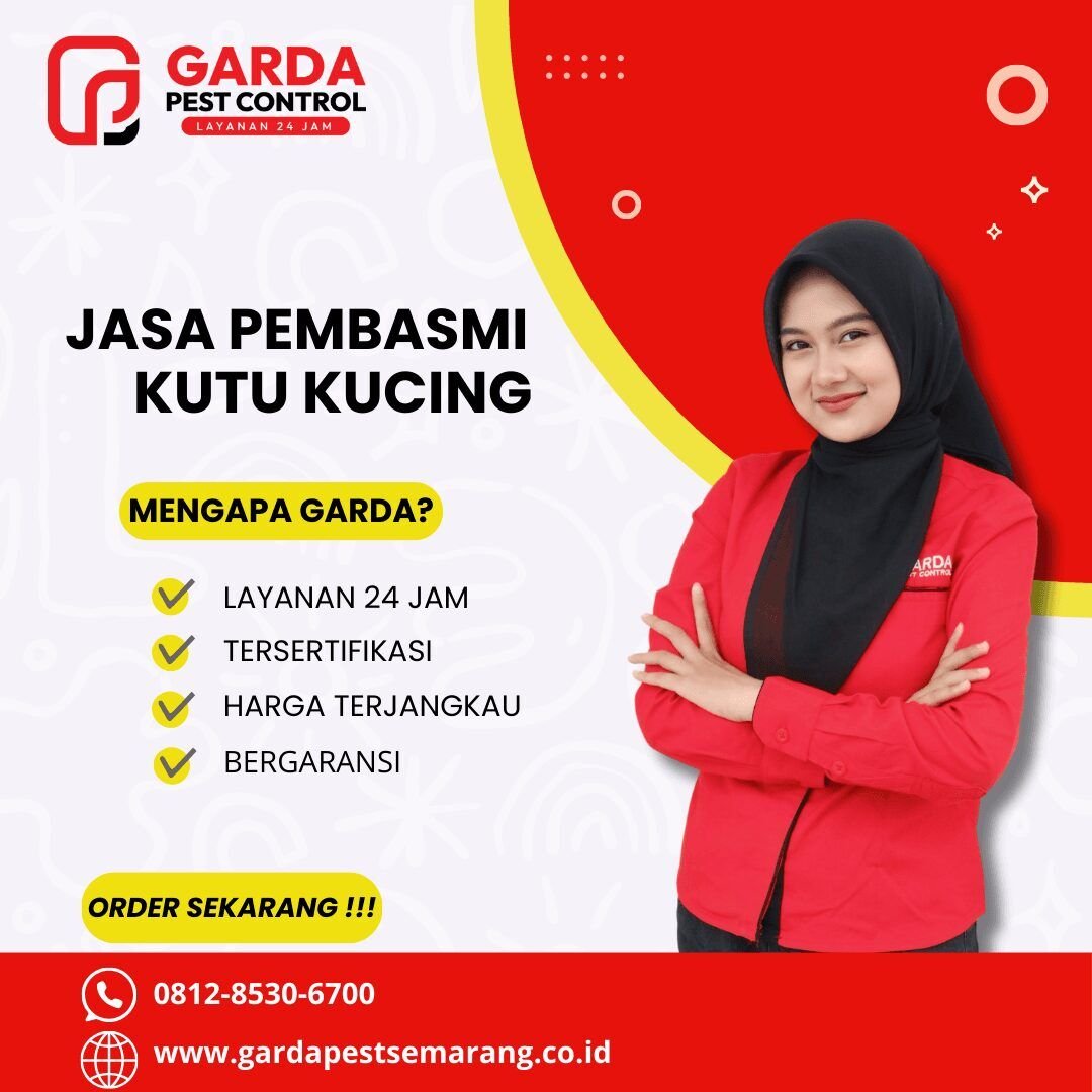 Jasa Pembasmi Kutu Kucing di Semarang