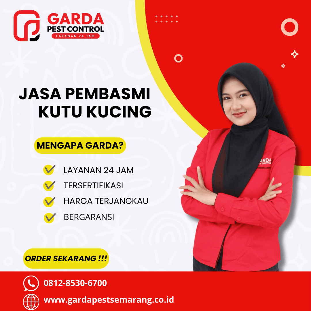 Jasa Pembasmi Kutu Kucing di Semarang