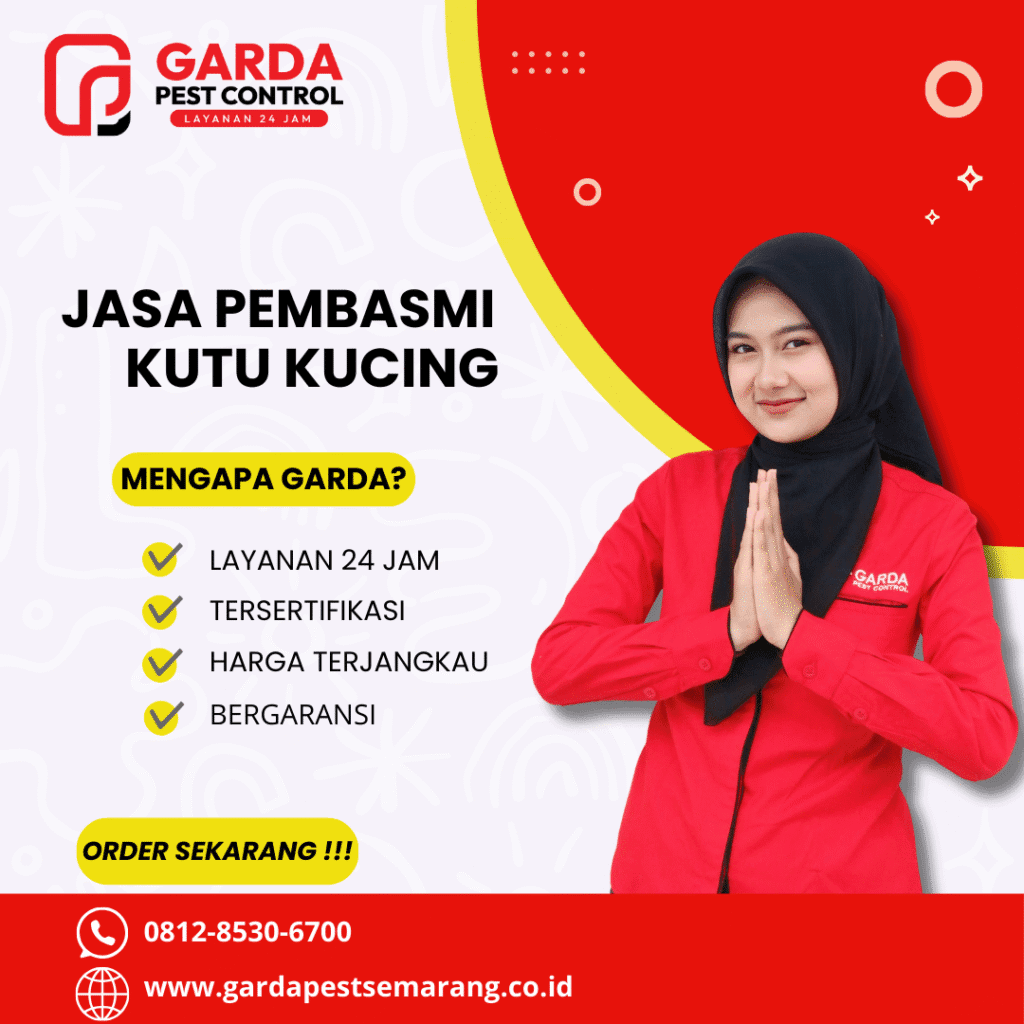 Jasa Pembasmi Kutu Kucing di Candisari Terbaik