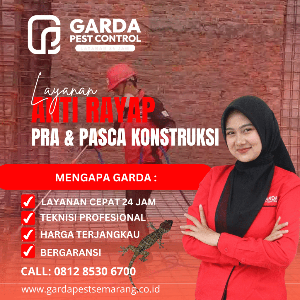 Layanan Jasa Pembasmi Rayap Profesional