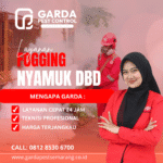 Jasa Fogging Nyamuk di Semarang