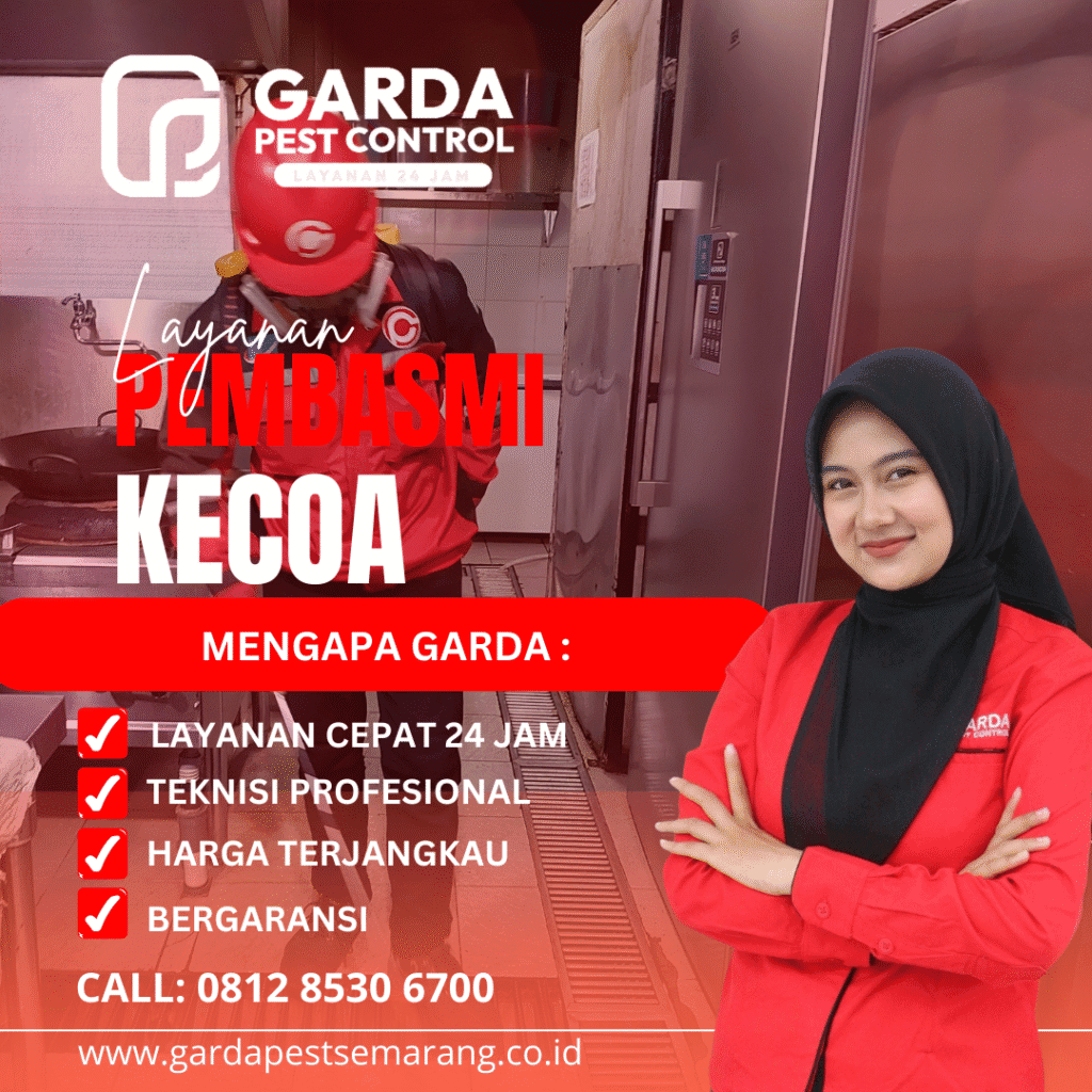 Jasa Pembasmi Kecoa di Semarang Murah Bergaransi
