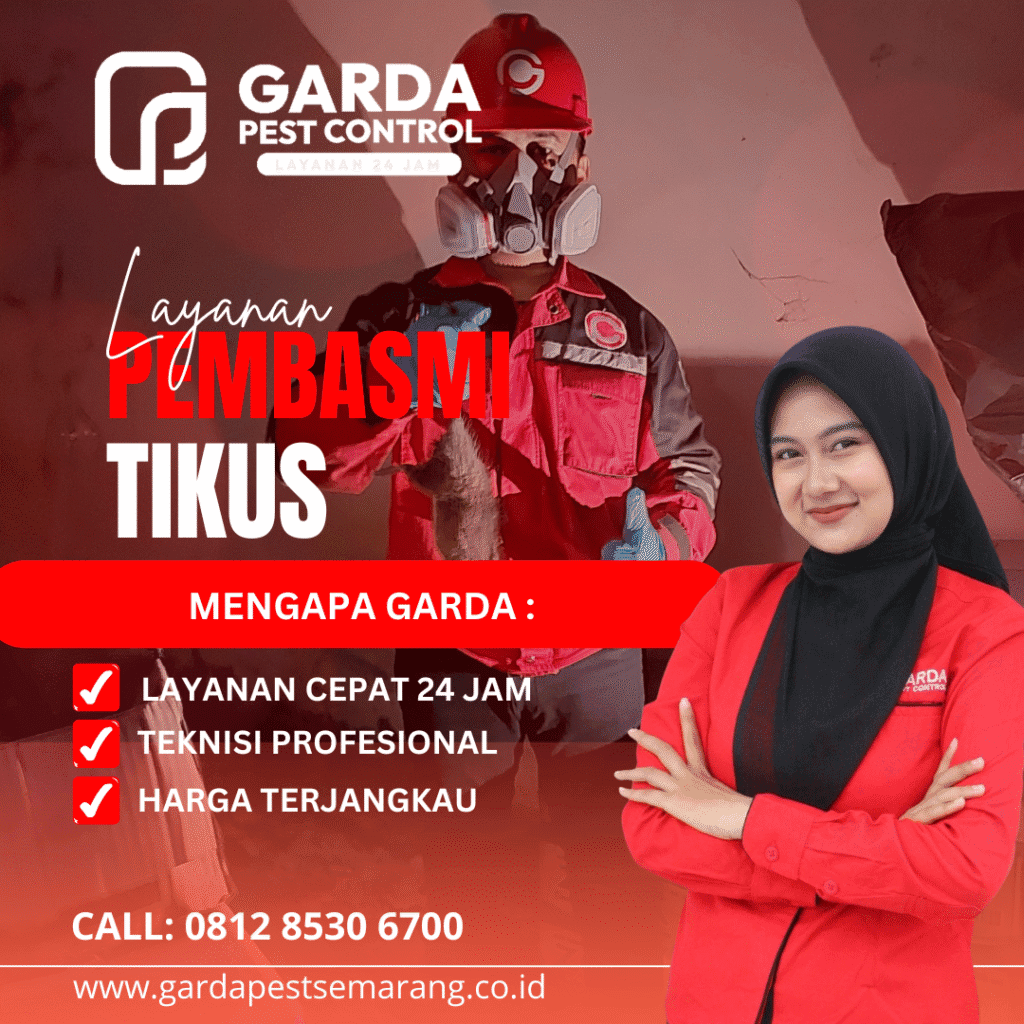 Jasa Pembasmi Tikus Semarang Berkualitas Terbaik – Garda Pest Control
