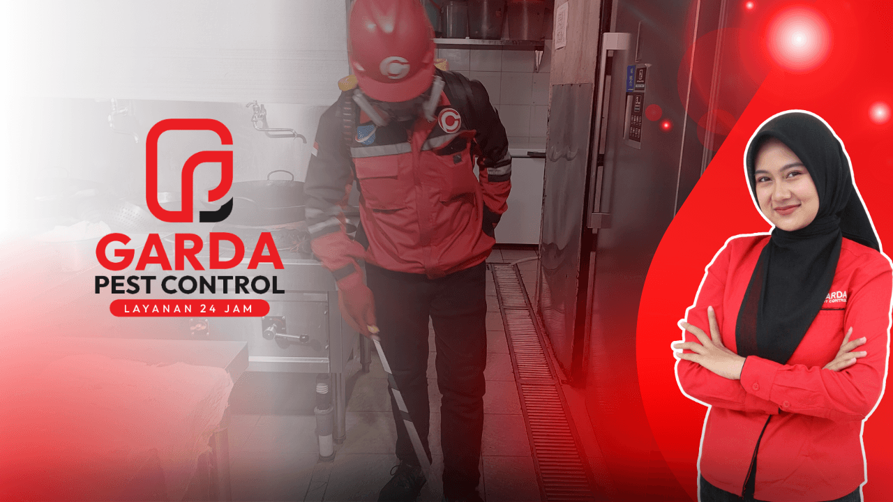 Jasa Pembasmi Kecoa di Semarang Murah Bergaransi