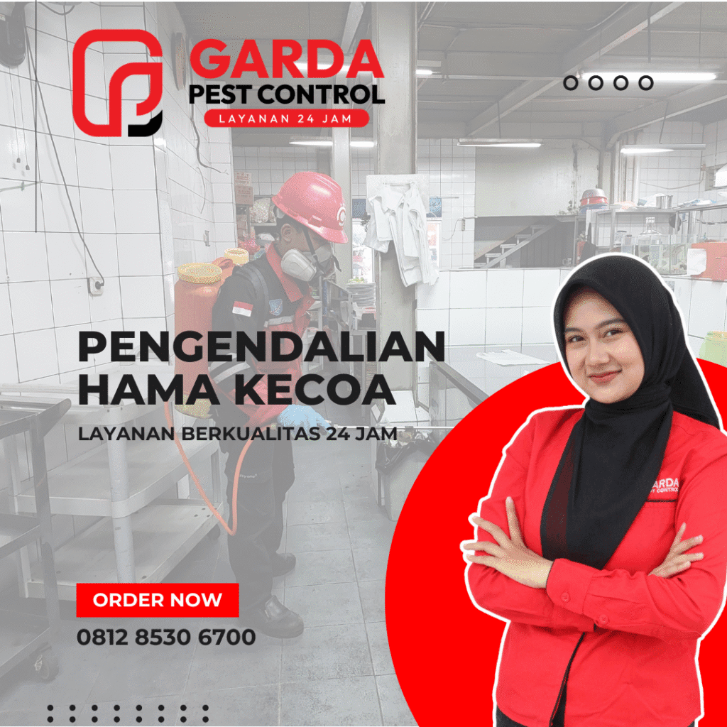 Jasa Pembasmi Kecoa Semarang Paling Murah – Harga Transparan Tanpa Biaya Tambahan