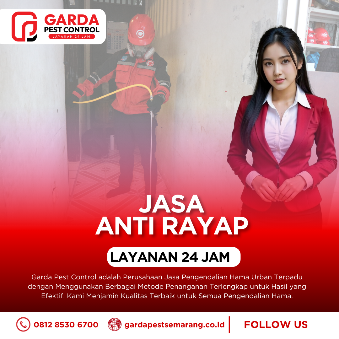 Jasa Anti Rayap di Semarang Terbukti Efektif
