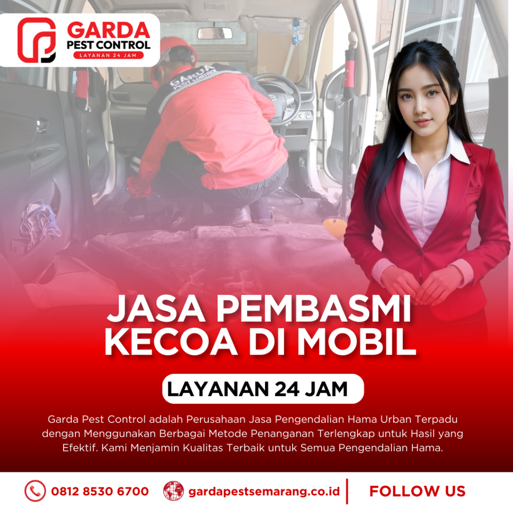 Jasa Pembasmi Kecoa di Mobil Semarang Garansi Sampai 3 Bulan