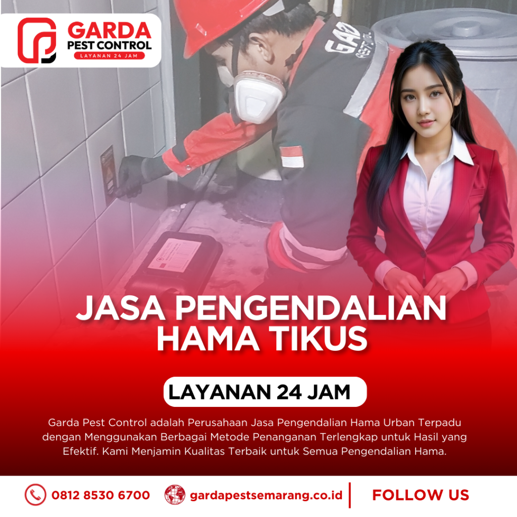 Jasa Pembasmi Tikus di Semarang Panggilan Cepat