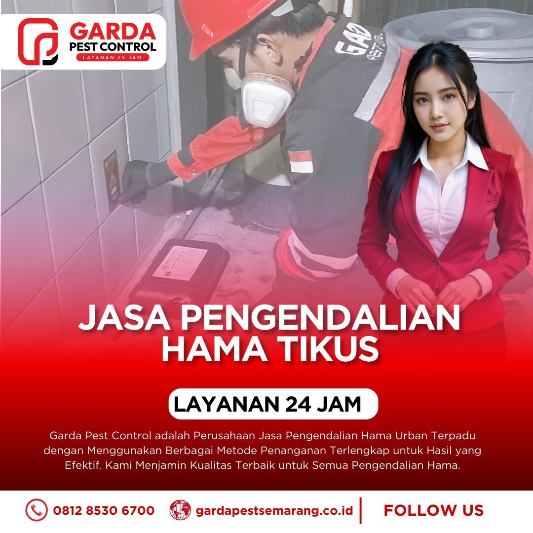 Jasa Pembasmi Tikus di Semarang Panggilan Cepat