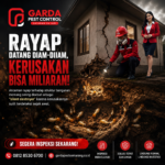 Jasa Anti Rayap Bali